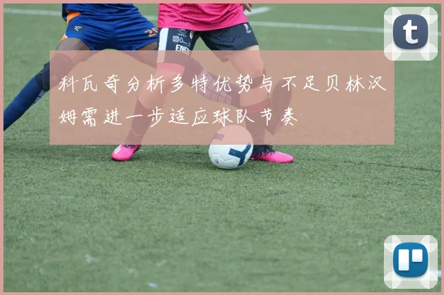 科瓦奇分析多特优势与不足贝林汉姆需进一步适应球队节奏
